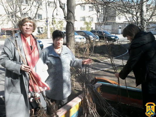 Масштабні прибирання в рамках весняного двомісячника з благоустрою Масштабні прибирання в рамках весняного двомісячника з благоустрою