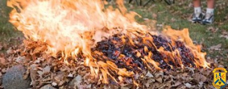 Куди звертатись, якщо ви страждаєте від спалювання залишків сухої рослинності та опалого листя Куди звертатись, якщо ви страждаєте від спалювання залишків сухої рослинності та опалого листя