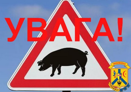 Африканська чума свиней (АЧС) у Вітовському районі Миколаївської області Африканська чума свиней (АЧС) у Вітовському районі Миколаївської області