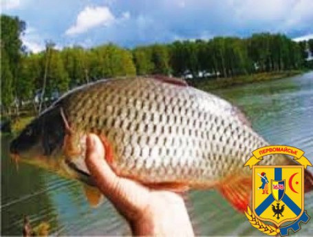 Щодо дотримання вимог Закону України «Про рибу, інші водні живі ресурси та харчову продукцію з них» Щодо дотримання вимог Закону України «Про рибу, інші водні живі ресурси та харчову продукцію з них»