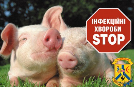 ЩОДО ВИПАДКУ АФРИКАНСЬКОЇ ЧУМИ СВИНЕЙ В НОВООДЕСЬКОМУ РАЙОНІ ЩОДО ВИПАДКУ АФРИКАНСЬКОЇ ЧУМИ СВИНЕЙ В НОВООДЕСЬКОМУ РАЙОНІ