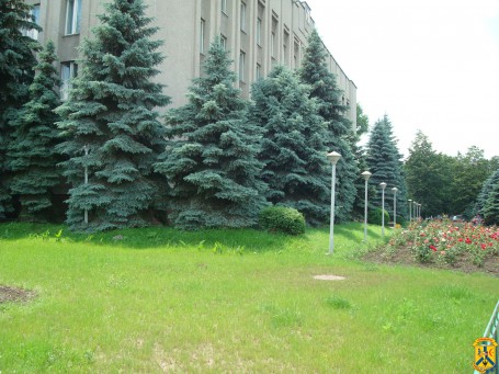 В Україні дозволили роботу непродовольчих ринків В Україні дозволили роботу непродовольчих ринків