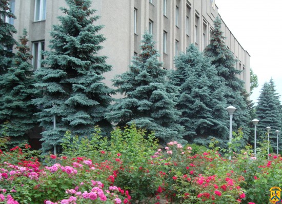 Нараду за участю заступників та начальників окремих управлінь Нараду за участю заступників та начальників окремих управлінь