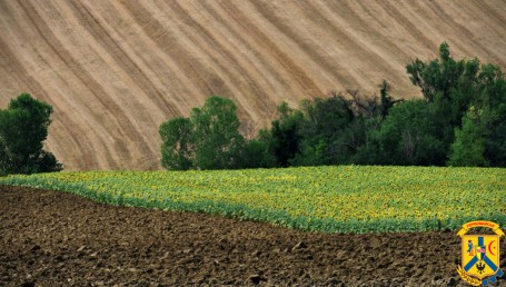 Земельна реформа в Україні 