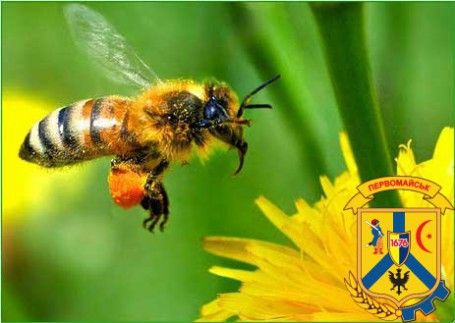 Про заходи профілактики отруєння бджіл.