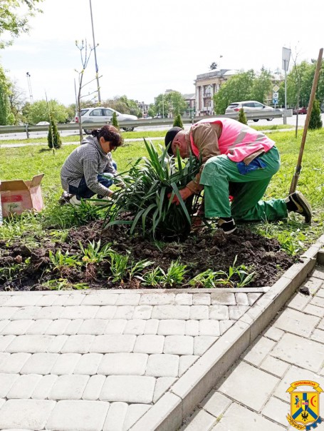 Комунальні служби громади продовжують роботи з благоустрою території: косимо траву, поливаємо та висаджуємо квіти. 