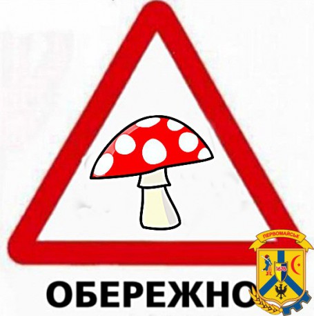 Пам’ятка для населення Основні рекомендації та правила для збору та вживання грибів