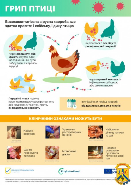 Увага! Грип птиці та його профілактика.