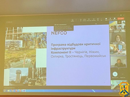 19 червня 2024 року відбувся вебінар з комунікацій щодо проєктів НЕФКО