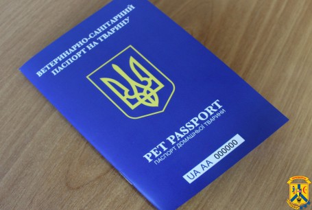 Як вивезти домашню тварину за кордон: алгоритм дій та необхідні документи Як вивезти домашню тварину за кордон: алгоритм дій та необхідні документи