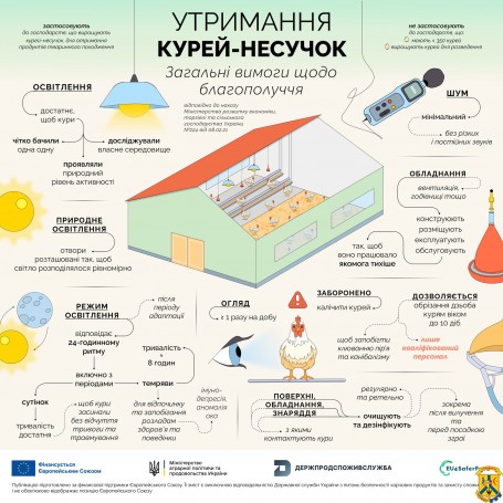 Вимоги щодо благополуччя.  Профілактика захворювання грипу птиці.
