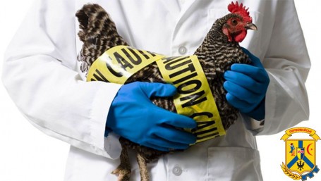 Пташиний грип