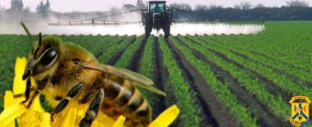 Захист пасіки: Ветеринарно-санітарний регламент та юридичний алгоритм дій при отруєнні бджіл