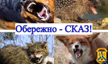 У Первомайському районі підтверджений випадок сказу